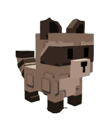 Raccoon