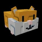 Hamster