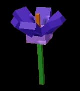 Crocus - Rare tier early-blooming flower
