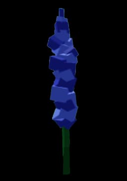 Delphinium - Rare tier blue flower