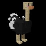Large ostrich boosting pet age