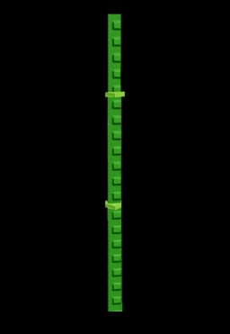 Bamboo tree - Legendary tier green plant for Grow A Garden game